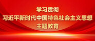 用力操我的骚屄视频学习贯彻习近平新时代中国特色社会主义思想主题教育_fororder_ad-371X160(2)